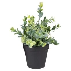 Northlight 10" Green Chinaberry Plant In Black Pot