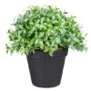 Northlight 7.5" Potted Green Boxwood Plant -Michaels D602893S 1
