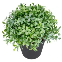 Northlight 7.5" Potted Green Boxwood Plant -Michaels D602893S 3