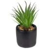 Northlight 7" Green Sword Grass In Black Pot -Michaels D602894S 1