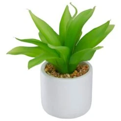 Northlight 8" Green Aloe Plant In White Pot -Michaels D602896S 3