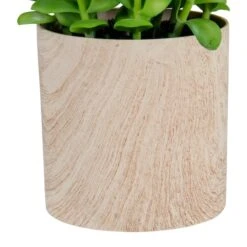 Northlight 10" Green Privet Plant In Faux Wood Pot -Michaels D602897S 3