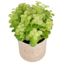 Northlight 10" Green Privet Plant In Faux Wood Pot -Michaels D602897S 5