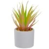 Northlight 6.5" Green & Pink Sword Grass In White Pot -Michaels D602900S 1