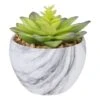 Northlight 4" Green & Purple Succulent In Faux Marble Pot 2 Northlight 4" Green & Purple Succulent In Faux Marble Pot -Michaels D602901S 1