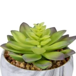 Northlight 4" Green & Purple Succulent In Faux Marble Pot -Michaels D602901S 4
