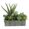 Northlight 11.75" Mixed Succulent Plants In Rectangular Planter -Michaels D602905S 1