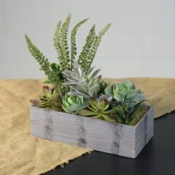 Northlight 11.75" Mixed Succulent Plants In Rectangular Planter -Michaels D602905S 2