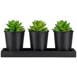 Northlight 10" Potted Succulents With Wood Planter Set