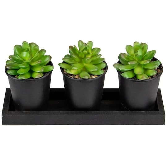 Northlight 10" Potted Succulents With Wood Planter Set 5 Northlight 10" Potted Succulents With Wood Planter Set - Image 3