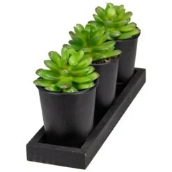 Northlight 10" Potted Succulents With Wood Planter Set 11 Northlight 10" Potted Succulents With Wood Planter Set -Michaels D602907S 3