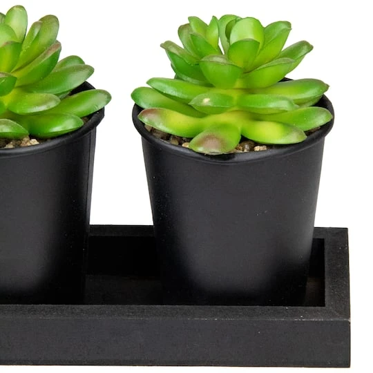 Northlight 10" Potted Succulents With Wood Planter Set 7 Northlight 10" Potted Succulents With Wood Planter Set - Image 5