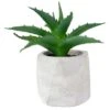Northlight 6" Green Aloe Succulent In Cement Pot -Michaels D602909S 1