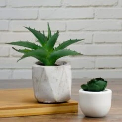 Northlight 6" Green Aloe Succulent In Cement Pot -Michaels D602909S 2