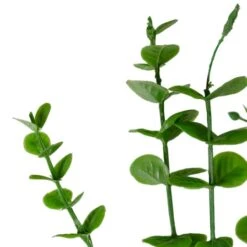 Northlight Green Artificial Eucalyptus Spray 9 Northlight Green Artificial Eucalyptus Spray -Michaels D602990S 3