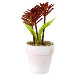 Northlight 8" Red And Green Succulent Fern In Ceramic White Pot -Michaels D602991S 2