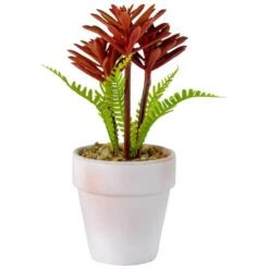 Northlight 8" Red And Green Succulent Fern In Ceramic White Pot -Michaels D602991S 3