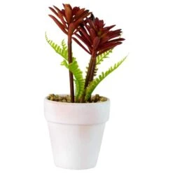 Northlight 8" Red And Green Succulent Fern In Ceramic White Pot -Michaels D602991S 4