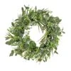 22" Eucalyptus & Grass Wreath -Michaels D613411S 1
