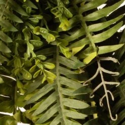35" Green Fern Wreath -Michaels D625765S 4