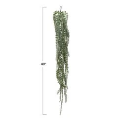 Hello Honey® Hello Honey Green String Of Pearls Plant