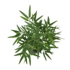 19" Green Foliage Artificial Plant With Black Pot -Michaels D760288S 3