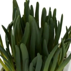 8" Green Foliage Artificial Plant With White Ceramic Pot 14 8" Green Foliage Artificial Plant With White Ceramic Pot -Michaels D760289S 5