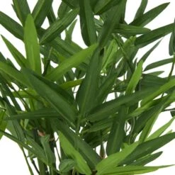 13" Green Faux Foliage Artificial Plant With Black Pot -Michaels D760290S 5