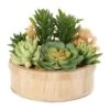 7" Succulent Artificial Plant With Natural Pot -Michaels D760296S 1