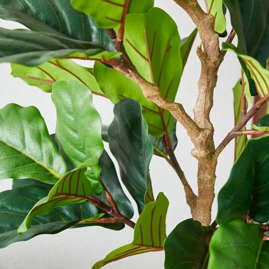Glitzhome® 5ft. Faux Fiddle Leaf Fig Tree In Pot 8 Glitzhome® 5ft. Faux Fiddle Leaf Fig Tree In Pot - Image 6