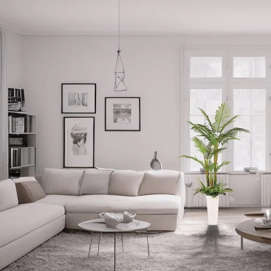 6ft. Artificial Areca Palm Tree In White Decorative Pot 6 6ft. Artificial Areca Palm Tree In White Decorative Pot - Image 4