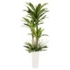 6ft. Artificial Dracaena Fragrans Tree In White Decorative Pot 1 6ft. Artificial Dracaena Fragrans Tree In White Decorative Pot -Michaels D763734S 1