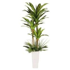6ft. Artificial Dracaena Fragrans Tree In White Decorative Pot