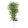 6ft. Artificial Ficus Microcarpa Tree In White Decorative Pot -Michaels D763735S 1