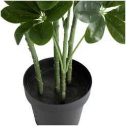 5ft. Potted Green Faux Foliage Artificial Money Tree -Michaels D765451S 4
