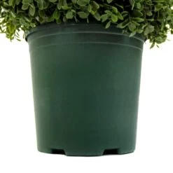 3.5ft. Boxwood Spiral Topiary -Michaels D766093S 4